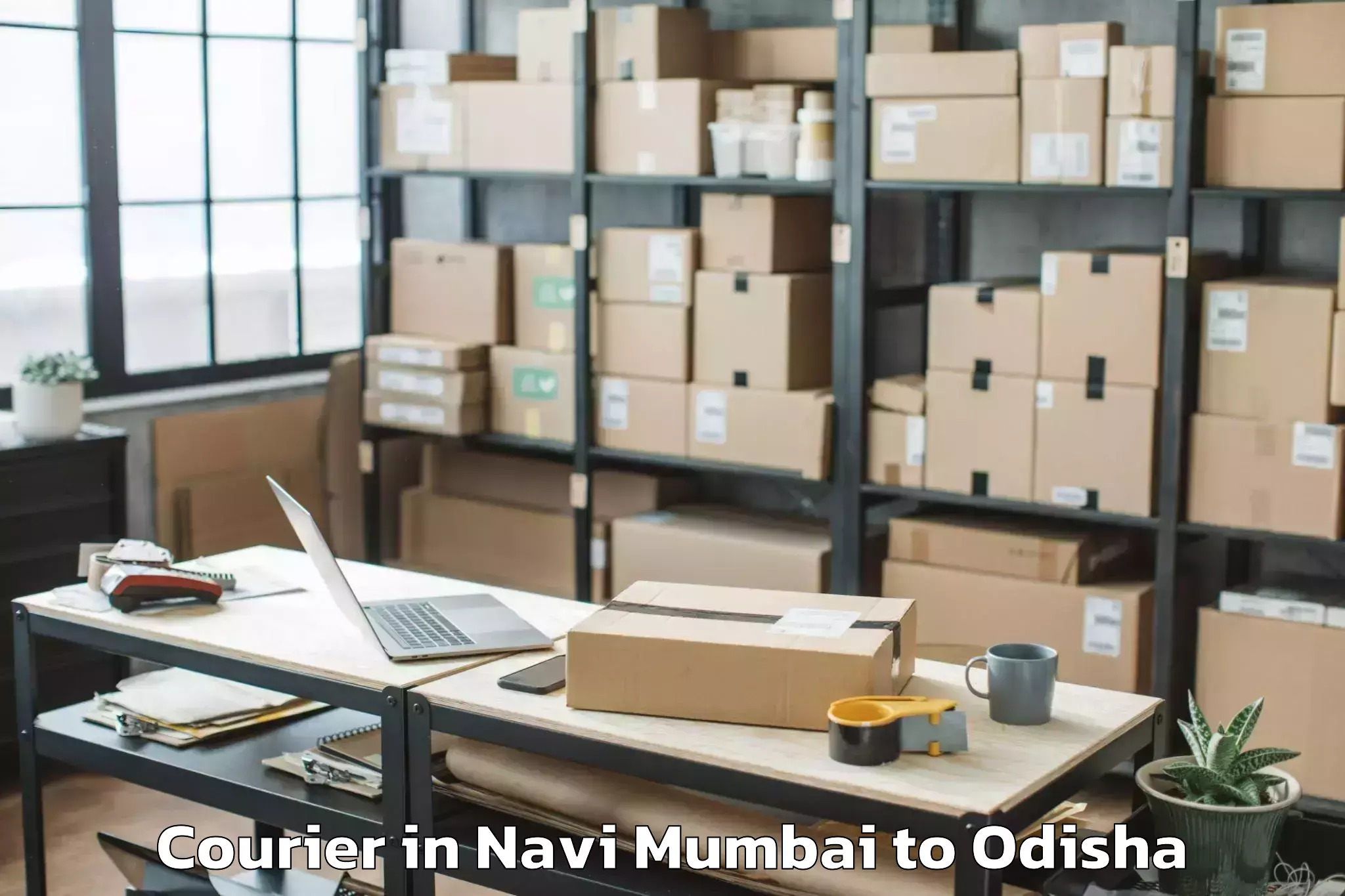 Professional Navi Mumbai to Delanga Courier